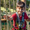Image 2: Enjoy an adventurous day w/ Sky Tykes or Sky Trail for Up to 4 People