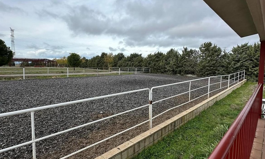 Image 9: Paseo a caballo de 1 hora por el Parque del Guadarrama con refresco