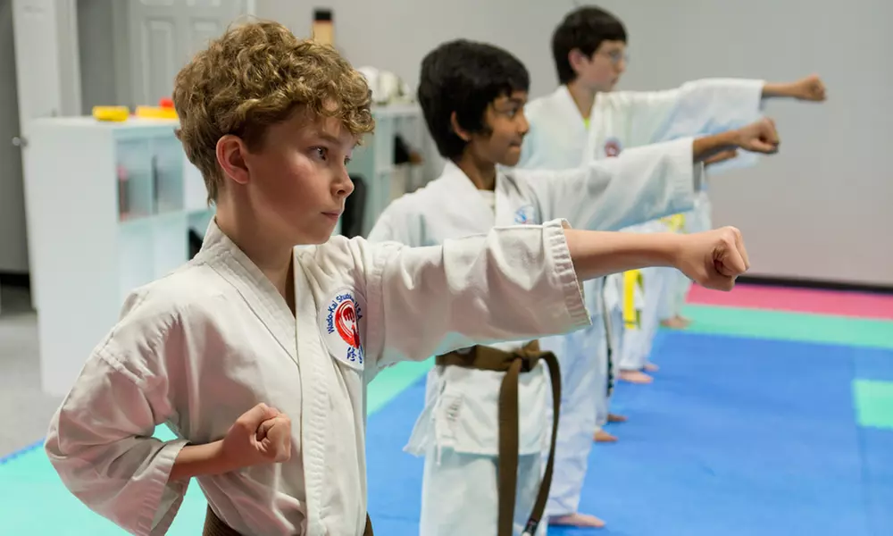One Month of Unlimited Karate Classes for One Person Aged 6–12 or 13 and Older at Longmont Wado-Kai - Primary Image