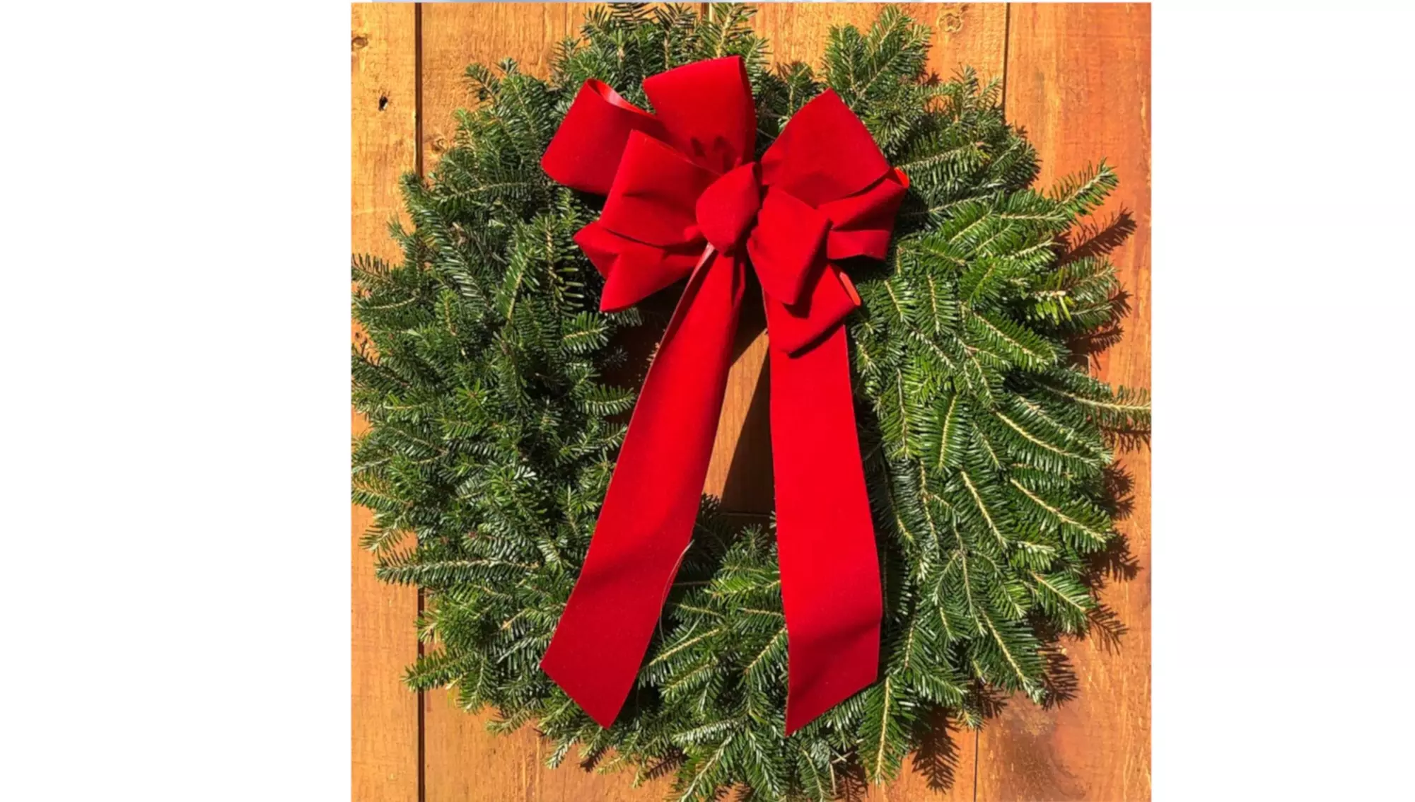 Preorder Today: 7-Foot Fresh-Cut Real Christmas Trees and Christmas Wreaths with Free Shipping