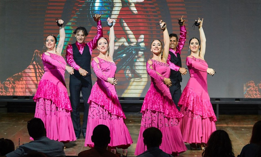 Image 5: Entradas a espectáculo flamenco con cócteles de bienvenida para 2 o 4 