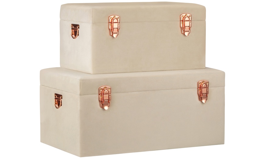 Image 5: Set of Two Velvet Stotage Trunks