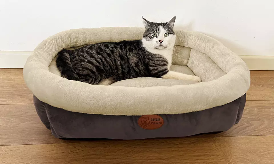 Cucce, lettini e divanetti per cani e gatti in vari modelli e misure