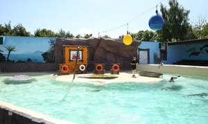 Entrée pour le Mont Mosan : attractions, jeux géants et zoo