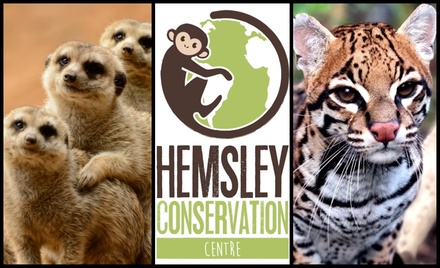 Zoo Entry & Capybara or Sloth Adoption Pack! - For 1 - Hemsley Conservation Centre