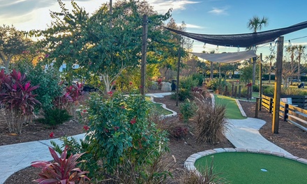 Child Mini Golf Round - Plantation Palms Golf Club Land O' Lakes, FL