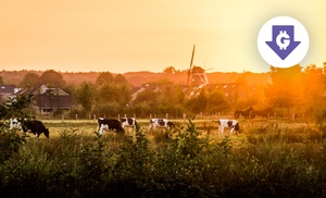 Natuur in Twente: 2-persoonskamer, naar keuze incl. ontbijt + parkeren