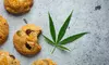 Explore cannabis skills with The Growology School's course for 1 or 2, up to 98% off