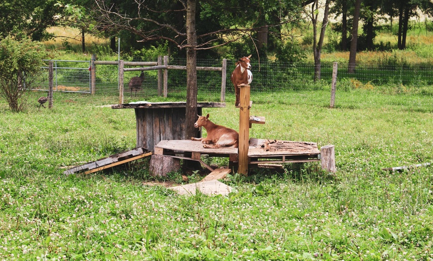 Image 6: Join Farm Fun with Admission for One, Two, or Four People 