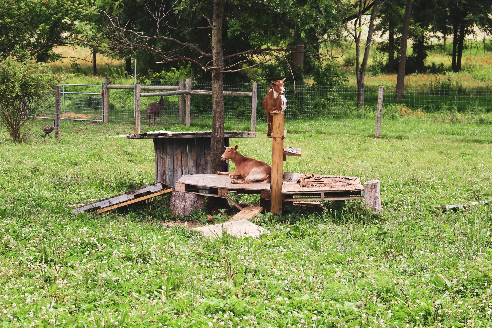 Join Farm Fun with Admission for One, Two, or Four People 