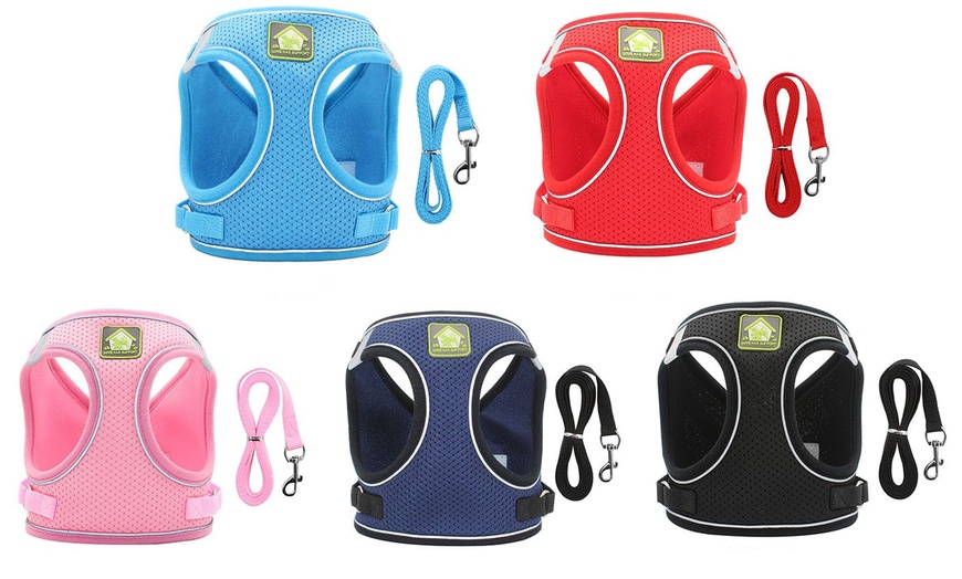 Image 4: Breathable Mesh Step-In Harness and Leash Set for Small Dogs