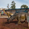 Image 6: Up to 47% Off Admission or Membership - Fresno Discovery Center