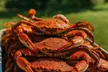 Half Bushel Crab Feast: Multiple Options (Up to 40% Off) - Second Medium
