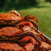 Image 2: Half Bushel Crab Feast: Multiple Options (Up to 46% Off)