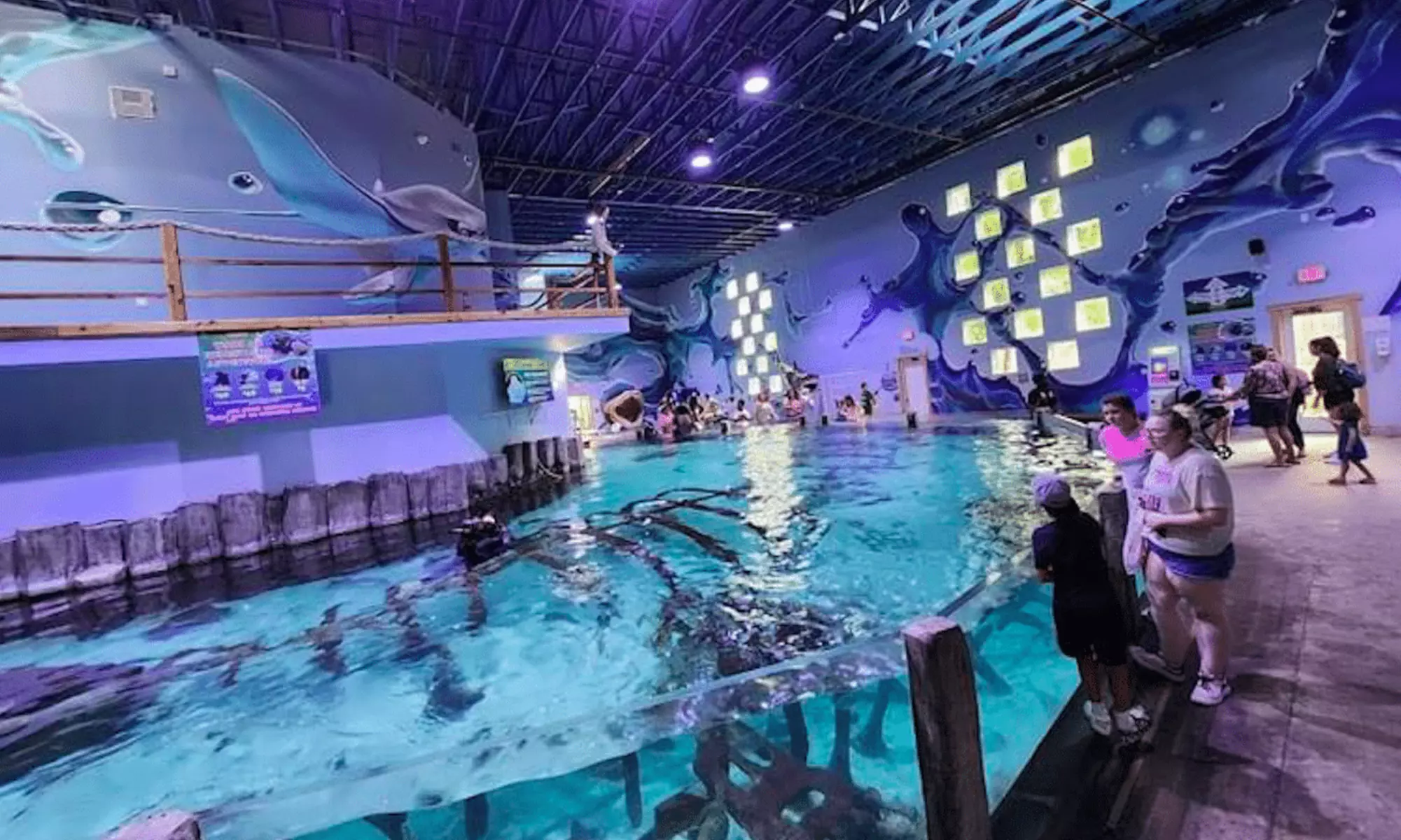 Year of Adventures: GetOutPass Houston for One Person 