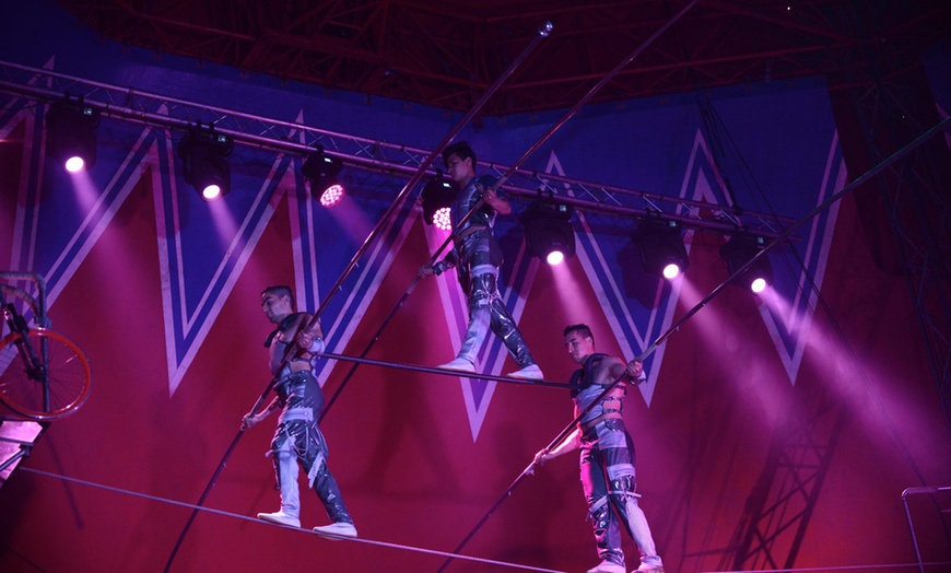 Image 4: Join the Thrill with Circus Brazil Admission Tickets! 
