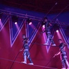 Image 4: Join the Thrill with Circus Brazil Admission Tickets! 