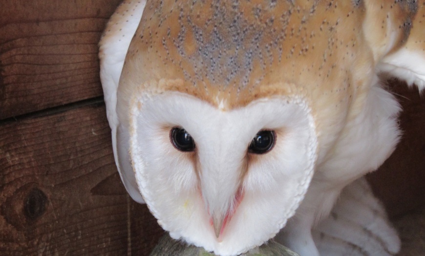 Image 7: ARK Wildlife Park Entrance Tickets – Fun for All Ages