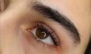 Wimpern- und/oder Augenbrauen-Lifting inkl. Färben für 1 Person (bis 59% sparen)