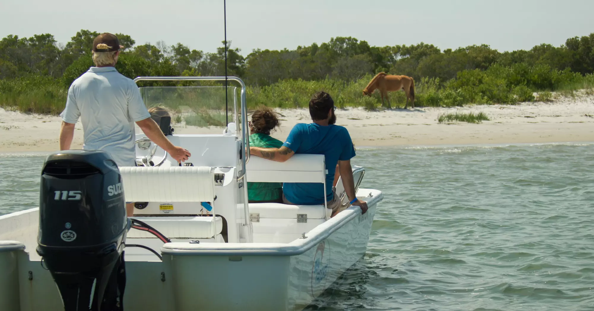 Private Sunset & Wildlife Cruises in Ocean City