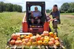 Maze and Hayride Admission for Up to Four with Concessions or Pumpkin Picking at Merk Farms -Up to 20% Off - Second Medium