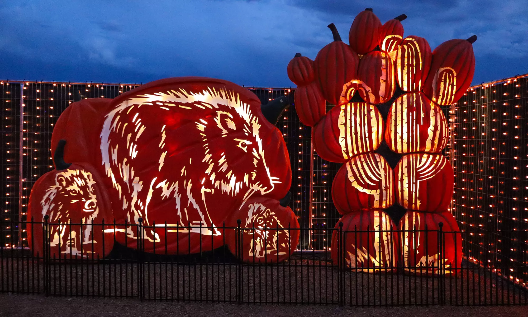 The Desert Fall Festival (September 26 - November 1)