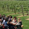 Image 7: Expert Guided Wine Tour with Lunch and Round Trip Transportation 