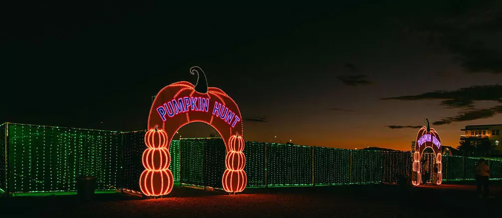 The Desert Fall Festival (September 26 - November 1)