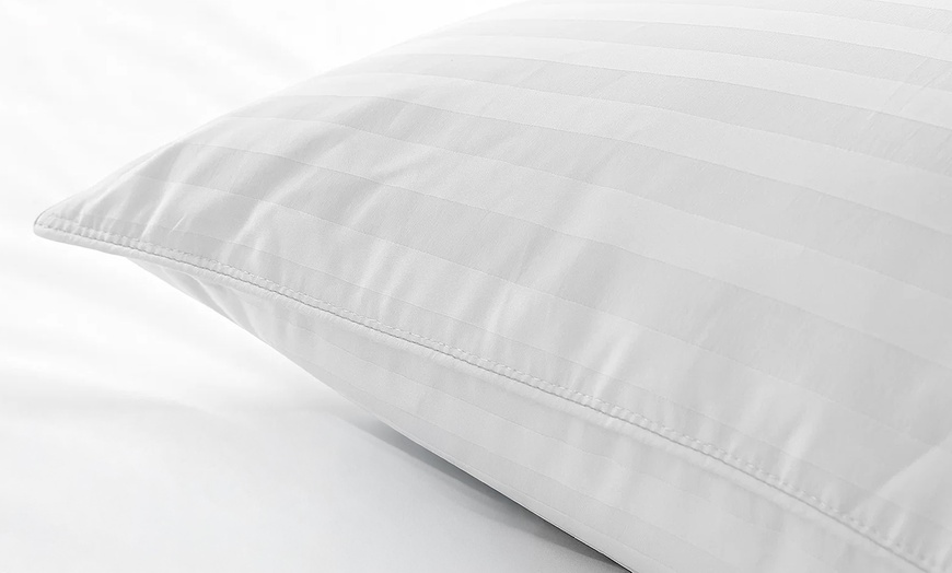 Image 7: Palace Feather Pillows, veren en dons, Sampur