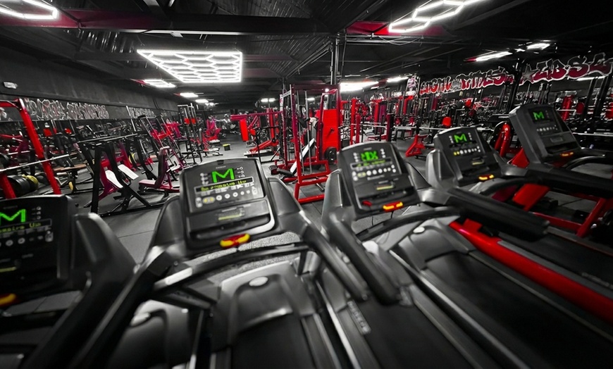 Image 5: One Month All-Access Gym Membership