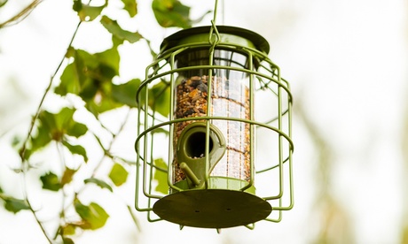 Supreme Unisex Rust Bird Feeders Range: Happy Beaks Mealworm And Suet Treat Feeder