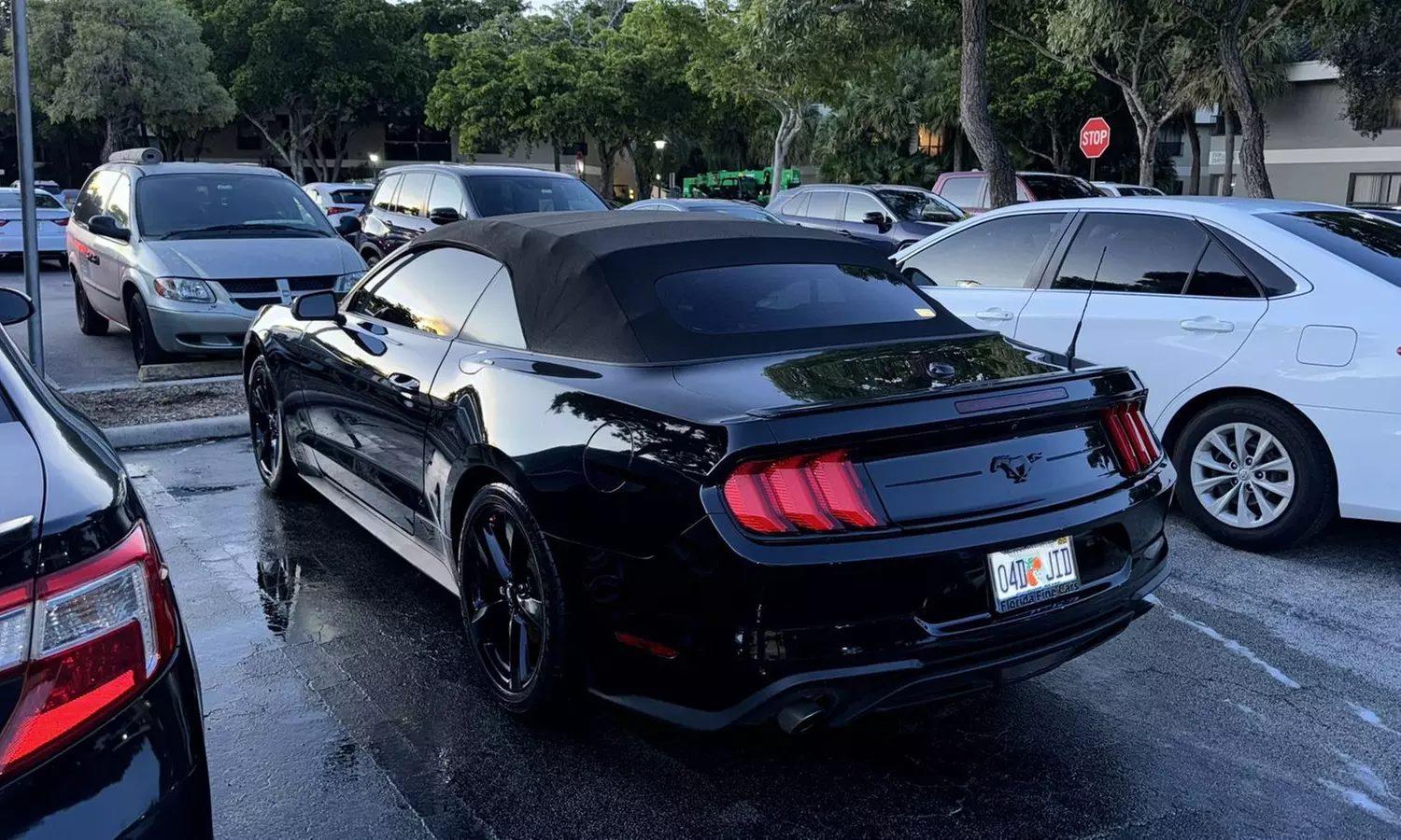 Interior & Exterior Detailing and Ceramic Coating