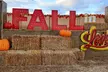 Pumpkin Fun at The Desert Fall Festival (September 26 - November 1) - Second Medium