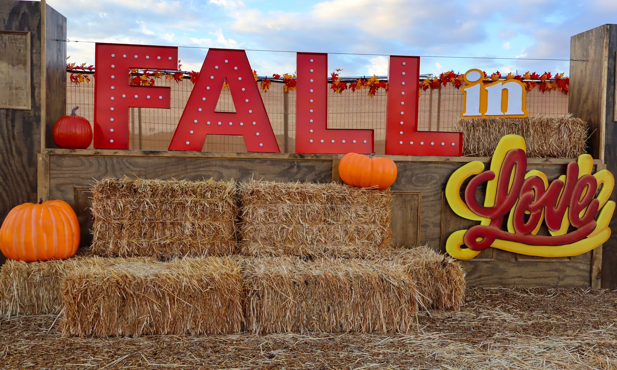The Desert Fall Festival (September 26 - November 1)