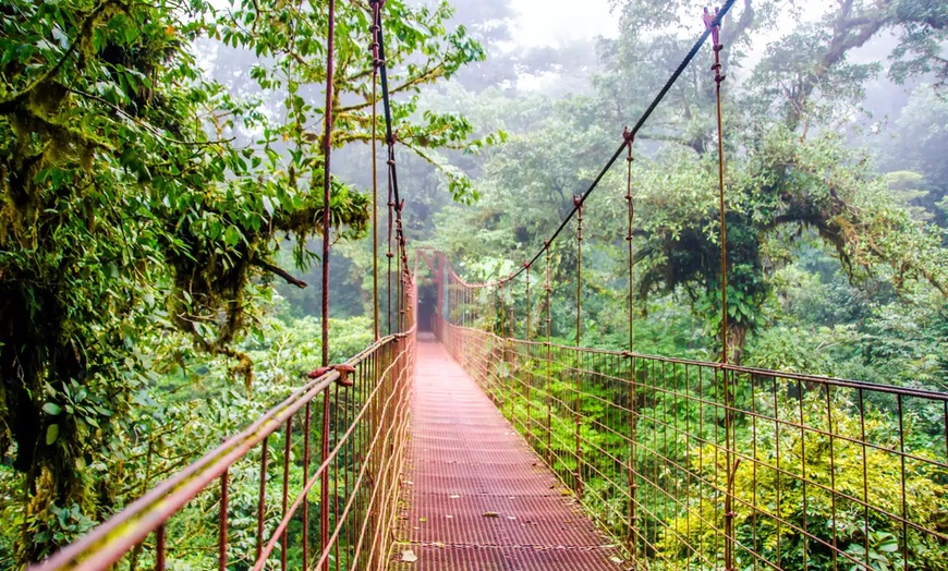Image 2: ✈ 8-Day Tour of Costa Rica with Air from Great Value Vacations