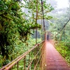 Image 2: ✈ 8-Day Tour of Costa Rica with Air from Great Value Vacations