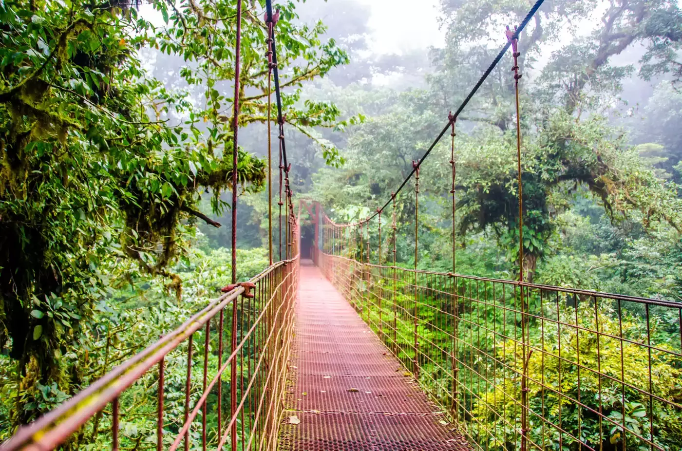 ✈ 8-Day Tour of Costa Rica with Air from Great Value Vacations