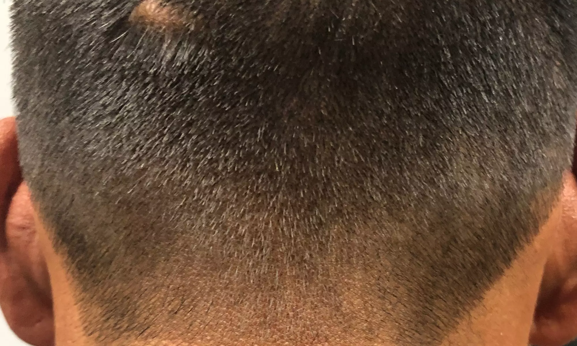 Buzz or Scissor & Clipper Cut for Adults – Clean, Easy Style
