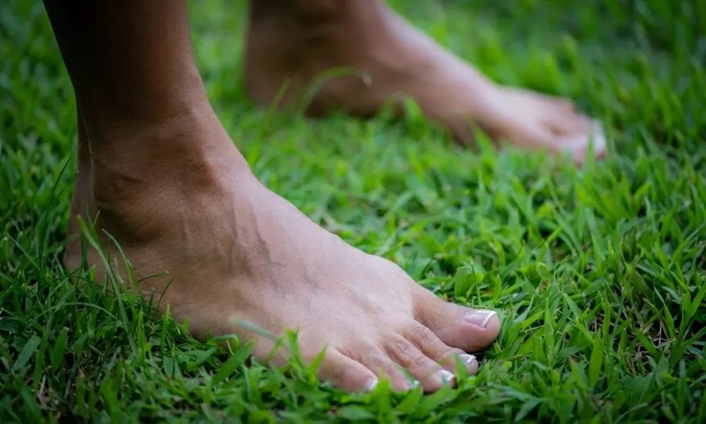 Reiki Reflexology Ritual 60 Minute Relaxation Wellness Session