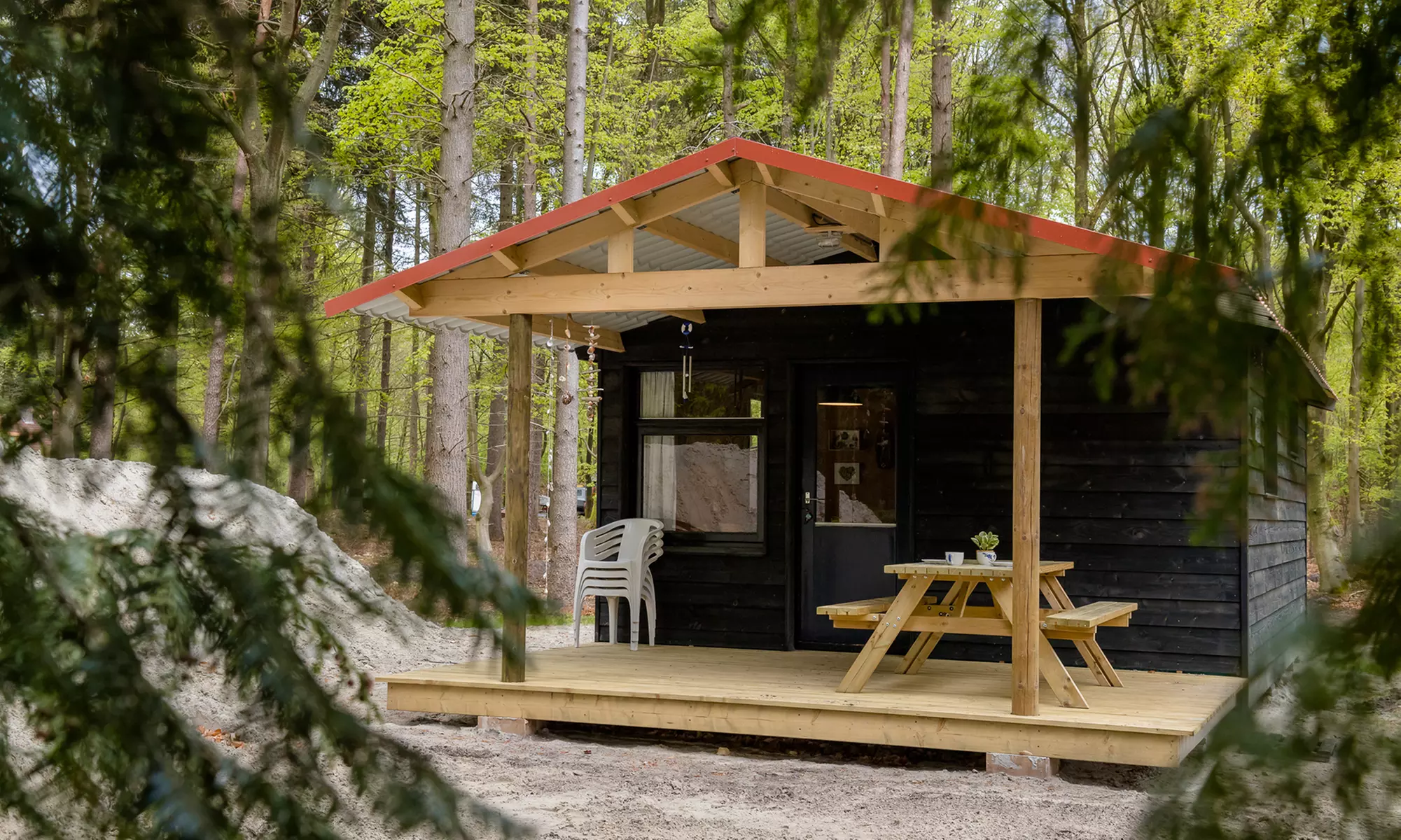 Niederlande/Drenthe: 1 bis 4 Nächte für 2-6 Personen im Baum, Tiny, Strandhouse oder Waldhütte im Camping Vlintenholt - Primary Image
