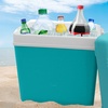 Image 30: Insulated Cooler Ice Box and Optional Ice Blocks 15L, 24L, 35L
