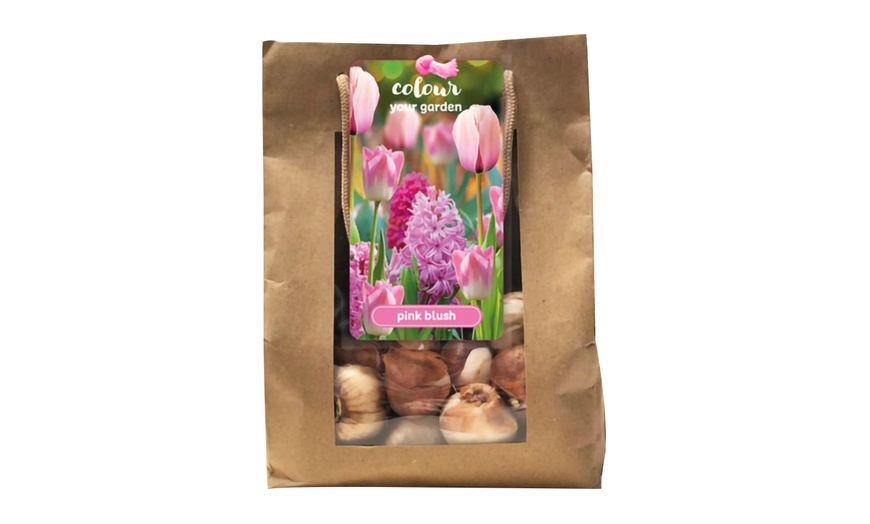 Image 7: Lot de 25 bulbes de fleurs roses ou pêches Perfect Plant Deal B.V.