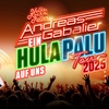 Image 1: Andreas Gabalier - Ein Hulapalu auf uns am 27.06. in Mönchengladbach