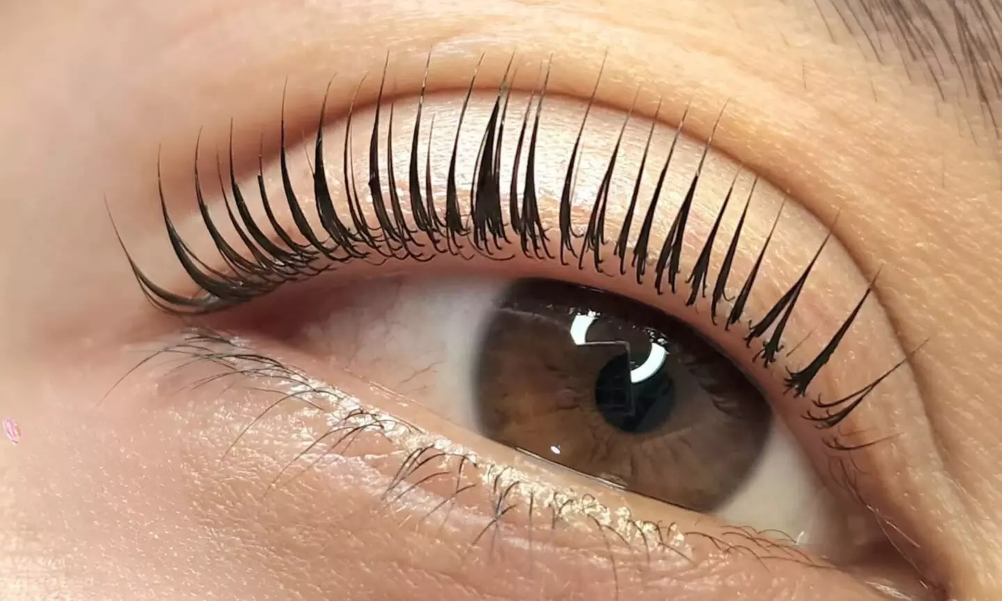 Enhance Your Look with Eyelash Lift Treatment with Optional Tinting