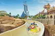 Discover Wild Wadi Waterpark Day Pass with Optional Meal for One, Two or Four at Pt Tourism (Up to 10%Off) - Image 6