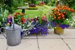 Boone County Arboretum Membership: Explore Nature & Save Up to 35% - Second Medium