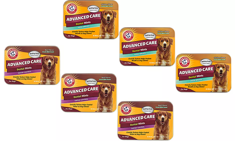 Arm & Hammer Advanced Care Dental Mints For Dogs (3-Pack) - Primary Image