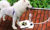 iMounTEK Outdoor Step-On Dog Water Fountain Pet Water Dispenser