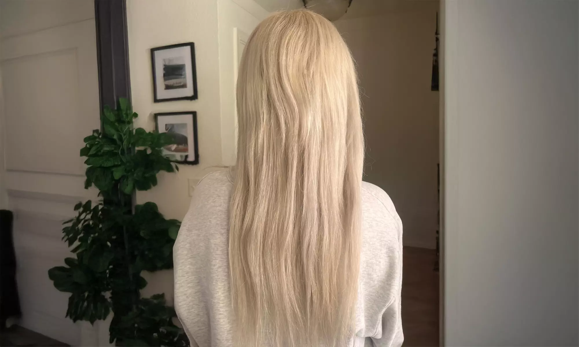 Haircut, Conditioning Treatment, Highlights, and more!