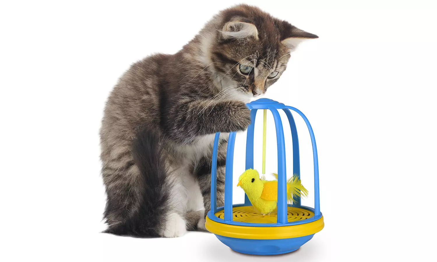 Bird in Cage Electronic Cat Toy - Primary Image